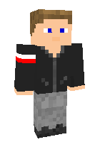 Скин по нику Majkel