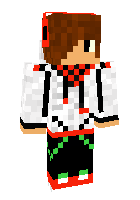 Скин по нику MasterCraftPro