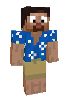 Скин по нику Master_Steve