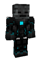 Скин по нику MatrixGamer456