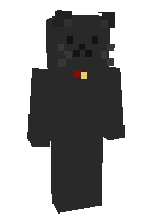 Скин по нику Matt