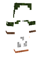 Скин по нику McFrozen
