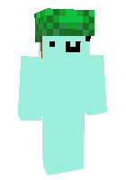 Скин по нику Mikers1