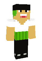 Скин по нику MineMaster231