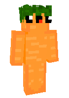 Скин по нику Mine_Player