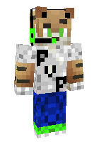 Скин по нику Minecraft_11