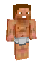 Скин по нику Minegamer280901
