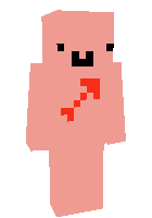 Скин по нику Mineko_