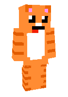 Скин по нику MiniFlame
