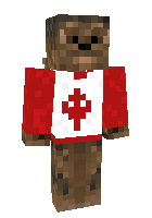 Скин по нику Miniwookie7