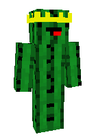 Скин по нику MisterCactus