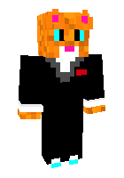 Скин по нику MisterCat25