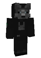 Скин по нику MisterNight7