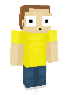 Скин по нику Morty_C136