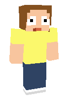 Скин по нику Morty_Smith