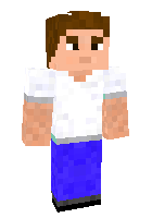 Скин по нику MrBrock2000