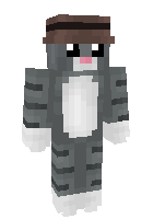 Скин по нику MrCat_