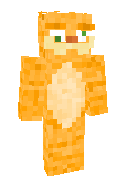 Скин по нику MrGarfield