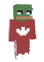 Скин по нику MrMasterTY