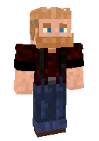 Скин по нику MrNeverman