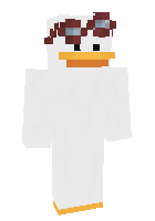 Скин по нику MrQuackDuck