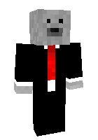 Скин по нику MrSeal2