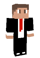 Скин по нику MrTim