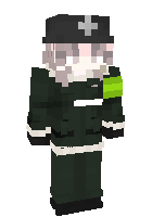 Скин по нику MrTurtlis