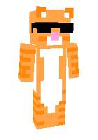 Скин по нику MrWhiskas