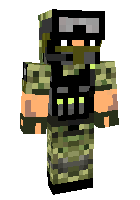 Скин по нику Mr_Akiko