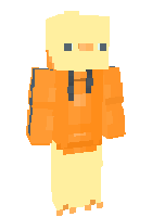Скин по нику Mr_B00