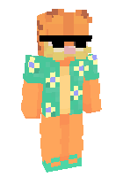Скин по нику Mr_Cat11