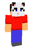 Скин по нику Mr_Cyanide