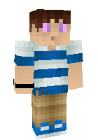 Скин по нику Mr_Ender