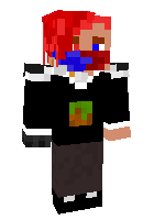Скин по нику Mr_Foxenis
