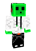 Скин по нику Mr_Lan