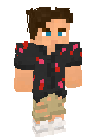 Скин по нику Mr_Nikita_Ev