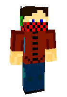 Скин по нику Mr_Pavel