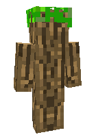 Скин по нику Mr_Tree