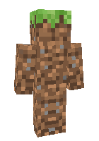 Скин по нику Mr_crafter