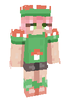 Скин по нику Mrnoob