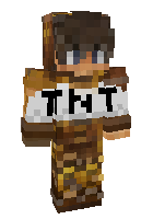 Скин по нику NIN9TIM