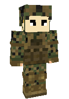 Скин по нику NORDIC2199