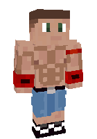 Скин по нику Nerkin1