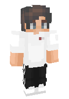 Скин по нику NestiMinecraft