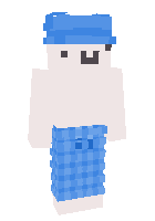Скин по нику Nichion
