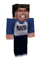 Скин по нику Nick