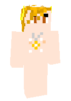 Скин по нику Niko17