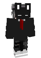 Скин по нику Niko1986