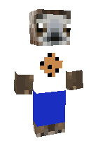 Скин по нику NimbusPhoenix